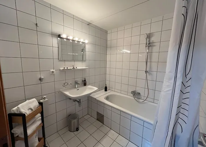 Schiller's Lakeside Bregenz